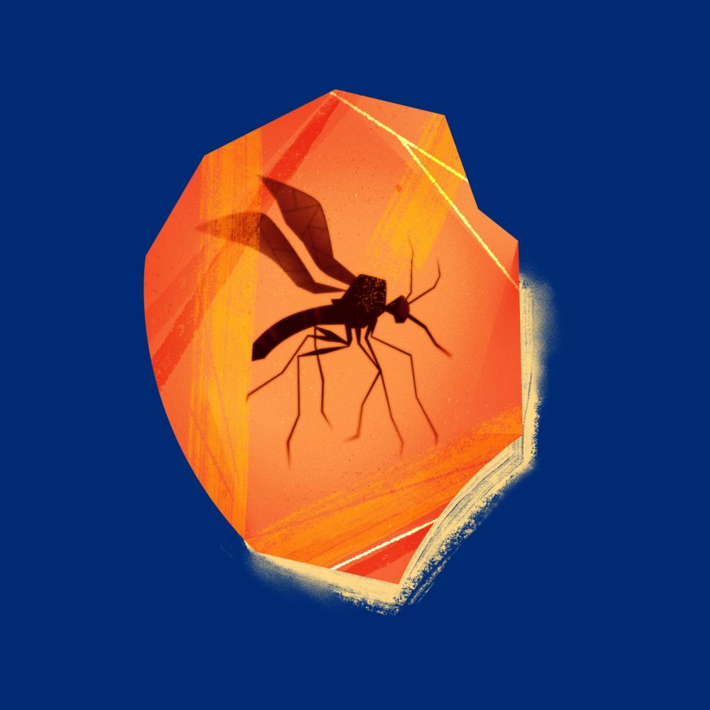 Jurassic Park Mosquito Silhouette In Amber Women's Hooded product image 5