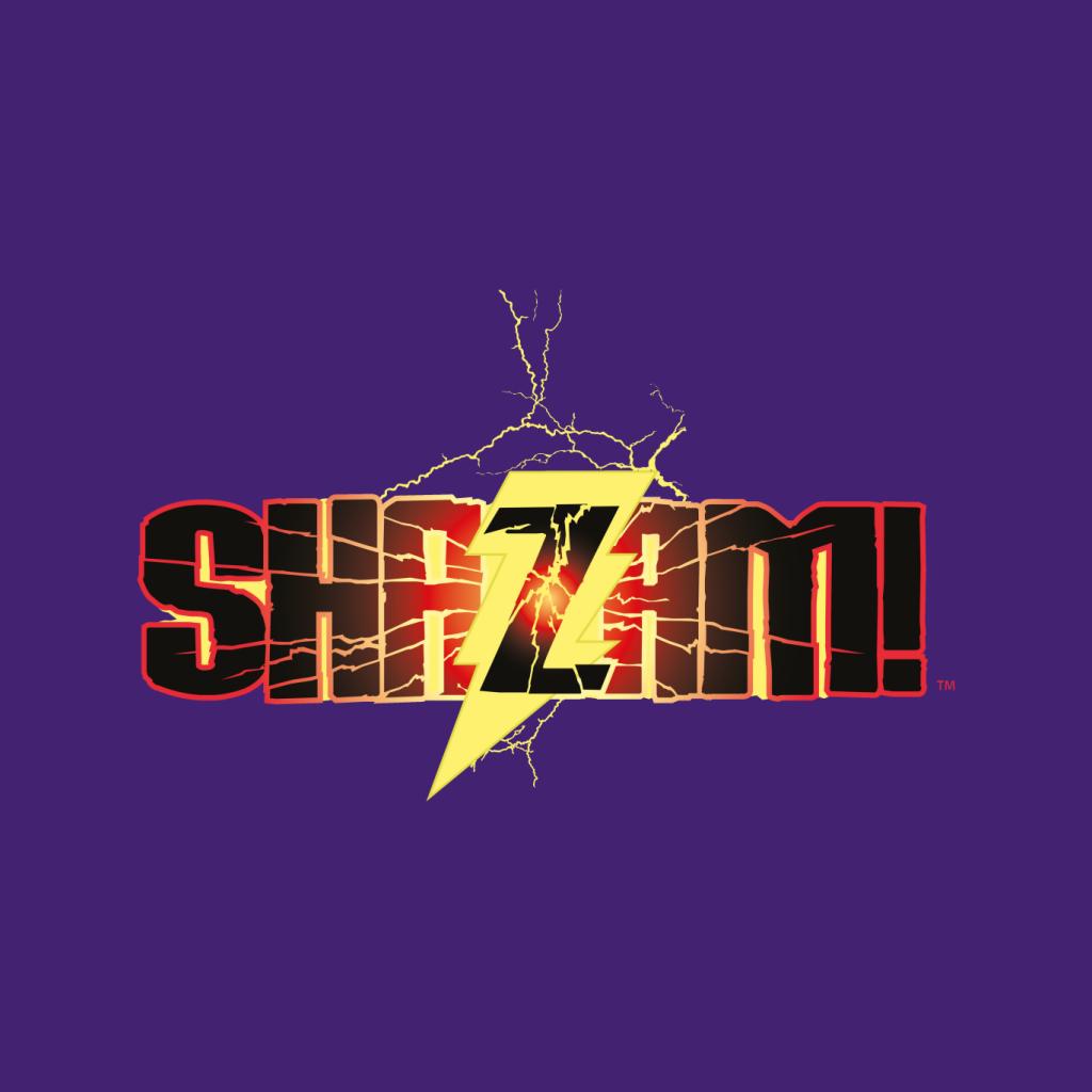 Justice League Shazam Logo Kid's Sweatshirt product image 7